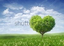 Фотообои Дерево-сердце